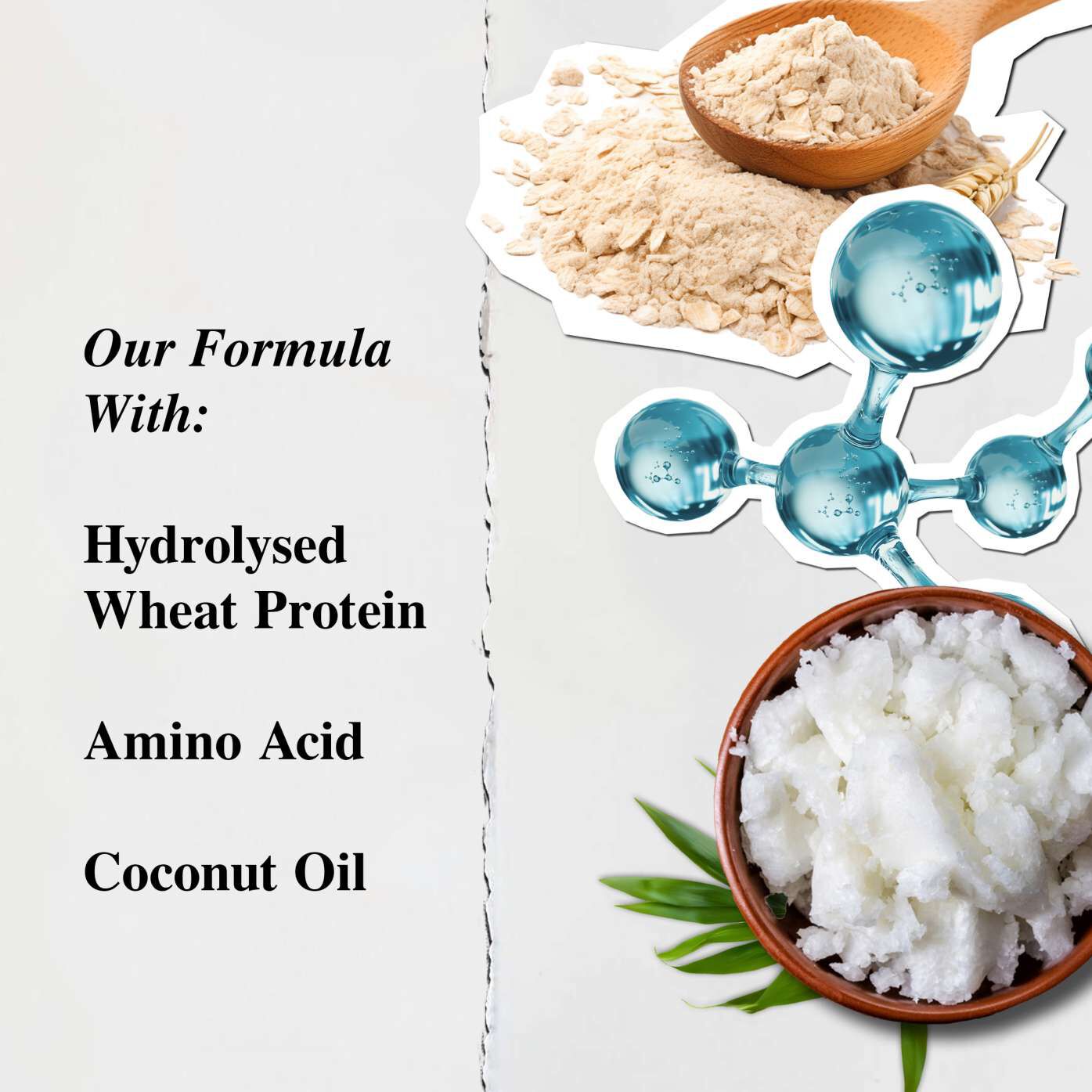 A skincare formula description with hydrolyzed wheat protein, amino acid, and coconut oil. Visuals include protein powder, molecule illustration, and a coconut oil bowl.