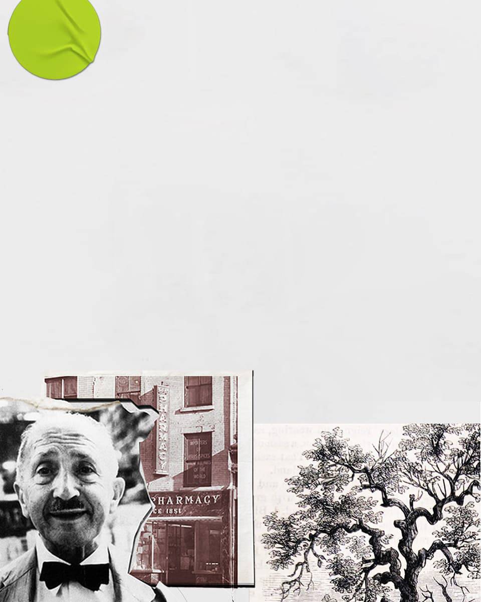 A collage featuring historical elements, including a vintage pharmacy storefront, a tree illustration, and a whimsical character with a bow tie, all set against a textured white background.