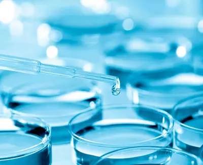 A close-up of a pipette dripping a droplet of clear liquid over several circular petri dishes, all set against a blue background.