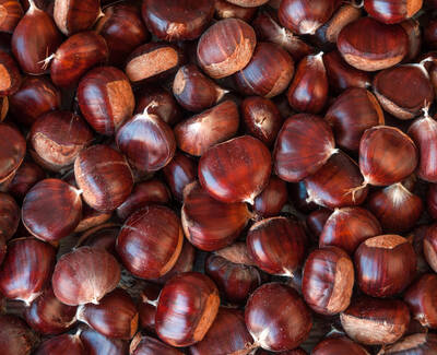 Chestnut Extract Kiehl's Ingredient