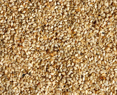 A close-up view of a large quantity of beige sesame seeds scattered evenly across a surface.