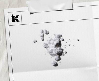 Close-up of purple bell-shaped flowers with delicate petals, against a soft green background.