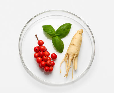 A clear glass dish containing a cluster of red berries, a fresh green basil leaf, and a ginseng root, all arranged neatly on a white background.