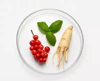 A clear glass dish containing a cluster of red berries, a fresh green basil leaf, and a ginseng root, all arranged neatly on a white background.