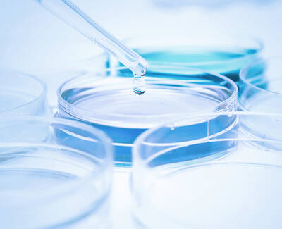 A close-up of several clear petri dishes filled with liquid, with a drop of liquid being released from a pipette into one of the dishes. The background is softly blurred.