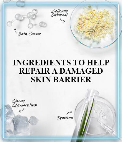 Image features a laboratory setup with a test tube, plant extract, and bowls containing squalane, glycerin, colloidal oatmeal, and beta-glucan, all titled “Ingredients to Help Repair a Damaged Skin Barrier.” The background is a light marble texture.
