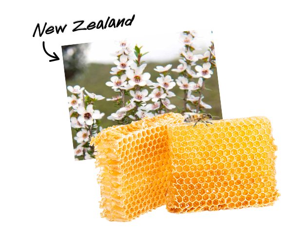 Manuka Honey Comb